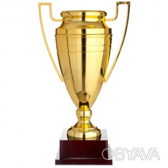 Кубок спортивный предназначен для награждения победителей во время соревнований . . фото 1