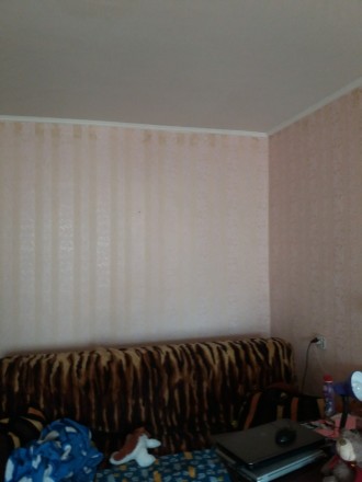 Квартира находится на пр Героев, в жилом состоянии, комнаты 2+1. Рядом ТРЦ Герме. Победа-4. фото 12