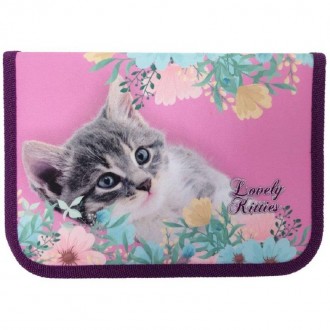 Пенал "CLASS" "Lovely Kitties" с наполнением. Ивано-Франковск. фото 1 Пенал "CLASS" "Lovely Kitties" с наполнением. Ивано-Франковск. фото 1