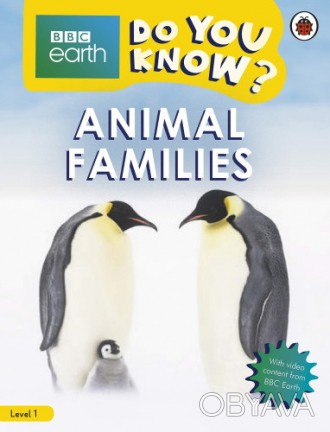Animal Families
 Как называются малыши животных? Что находится в яйце? Узнайте в. . фото 1
