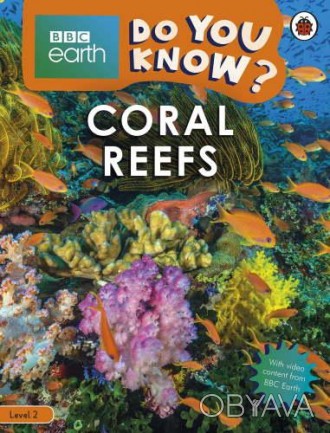 Coral Reefs
 Что такое коралл? Что живет рядом с коралловым рифом? Узнайте все о. . фото 1
