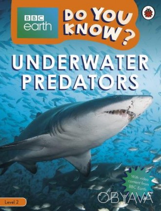 Underwater Predators
 Что такое хищник? Как акулы находят пищу? Узнайте все о хи. . фото 1