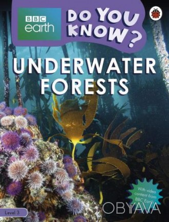 Underwater Forests
 Какие растения растут под водой? Кто обитает в подводных лес. . фото 1