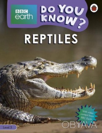 Reptiles
 Что такое рептилии? Чем они питаются? Узнайте о различных видах рептил. . фото 1