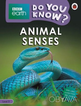 Animal Senses
 Какие животные хорошо слышат? Какие животные чувствуют вкус с пом. . фото 1