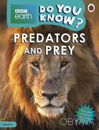 Predators and Prey
 Как животные прячутся от хищников? Какие хищники удивляют св. . фото 1