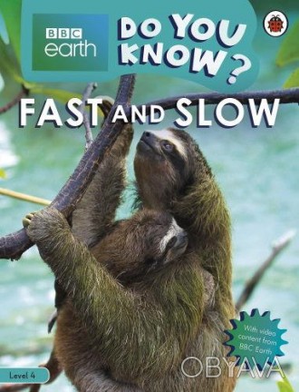 Fast and Slow
 Как передвигаются животные? Кто быстро летает? Узнайте все о быст. . фото 1