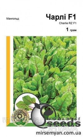 Гибрид мангольда для уборки молодыми растениями («бэби лиф»), для выращивания ка. . фото 1