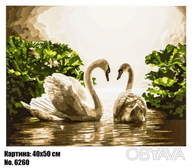 Картина по номерам "Лебеди" размер 40 х 50 см, код 6260
 
Картины по номерам — т. . фото 1