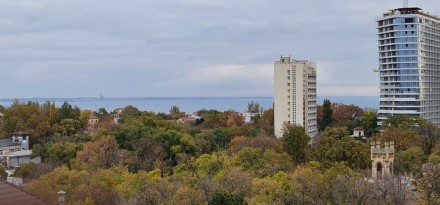 Квартира в новом комплексе Олимпиец. 
Студия с балконом и прекрасным видом. 
Зак. Приморский. фото 3