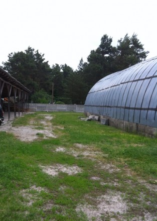 участок промзона Черниговская обл., Козелецкий район с.Крехаев. Крехаїв. фото 1 участок промзона Черниговская обл., Козелецкий район с.Крехаев. Крехаїв. фото 1