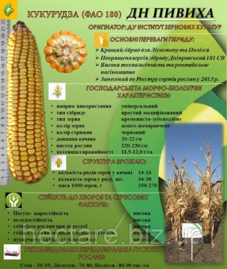 Гибрид Кукурузы ДН Пивиха. Выгодная цена при заказе через наш сайт.
Селекция
Инс. . фото 3