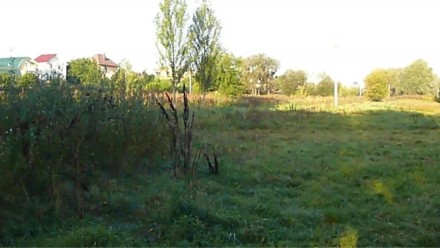 Тарасівка, вул.Ватутіна, пропонуємо до продажу ексклюзивну земельну ділянку 0.24. . фото 3