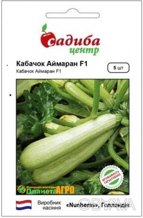 Семена кабачка Аймаран F1 – новый гибрид раннего кабачка. Растение открытое, пол. . фото 1