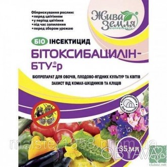 Бітоксибацилін-БТУ-р призначений для знищення шкідників: колорадського жука та й. . фото 1