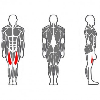 Тренажер разгибатель бедра предназначен для тренировки передней части бедра - че. . фото 3