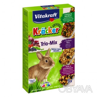 Крекер для кроликов с овощами, лесными ягодами и орехами - вкусное и полезное до. . фото 1
