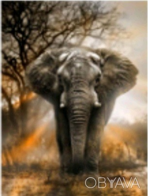 Алмазна картина HX205 "Могутній слон", розміром 30х40 см Работаем с 2011 годаБла. . фото 1