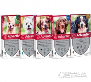 Цена за 1 пипетку
Адвантикс® — універсальне рішення для захисту собак від бліх, . . фото 1