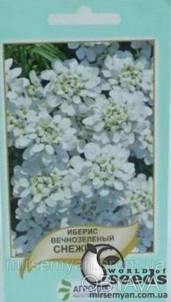 Иберис вечнозеленый Снежинка 0,1г А