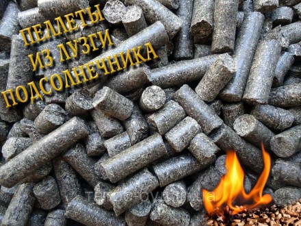 Пеллета топливная из лузги подсолнечника Харьков, в мешках 40 кг. Харьков. фото 1 Пеллета топливная из лузги подсолнечника Харьков, в мешках 40 кг. Харьков. фото 1