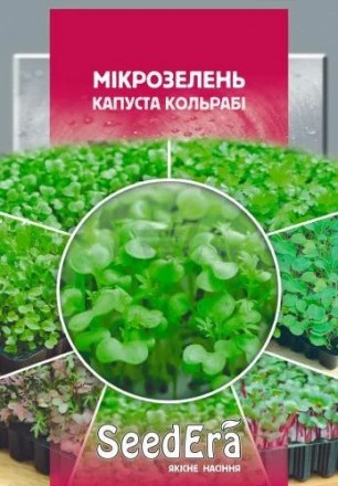 Семена Микрозелень капуста кольраби 10 г, Seedera. Киев. фото 1 Семена Микрозелень капуста кольраби 10 г, Seedera. Киев. фото 1