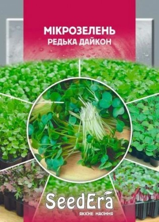 Семена Микрозелень редька дайкон 10 г, Seedera. Киев. фото 1 Семена Микрозелень редька дайкон 10 г, Seedera. Киев. фото 1