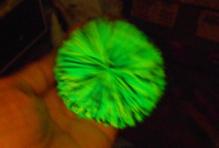 Игрушка антистресс, мягкий резиновый шарик Ёжик светится в темноте, если подержа. . фото 2
