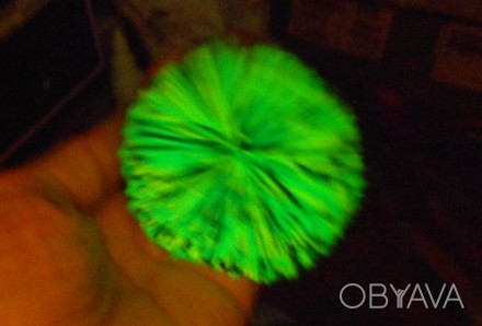 Игрушка антистресс, мягкий резиновый шарик Ёжик светится в темноте, если подержа. . фото 1