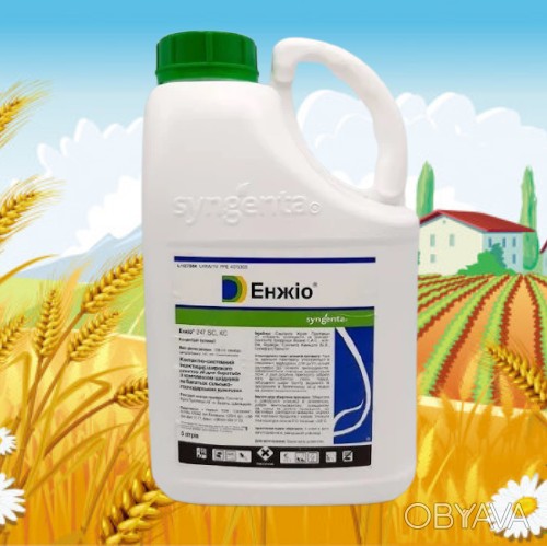 ᐈ Контактный системный Инсектицид Энжио Сингента Syngenta быстрый ...