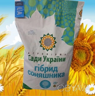 Семена подсолнечника гибрид Анастасия ОР на 2022 год по самой первой цене напрям. . фото 1