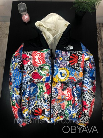 
Куртка мужская зима-весна-осень разноцветная с принтом The North Face (TNF) Chi. . фото 1