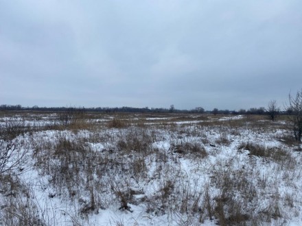 Продам участки Броварской район с.Пуховка – 25 га. Пухівка. фото 1