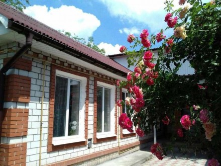 Продажа дома не дорого Кременчуг. Кременчуг. фото 1 Продажа дома не дорого Кременчуг. Кременчуг. фото 1