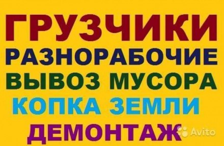 Ищу любую физическую работу
- грузчик (погрузочно-разгрузочные работы, разгрузк. . фото 3