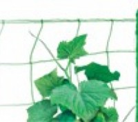 Шпалерная сетка (огуречная) - незаменимый продукт для выращивания плетущихся одн. . фото 3