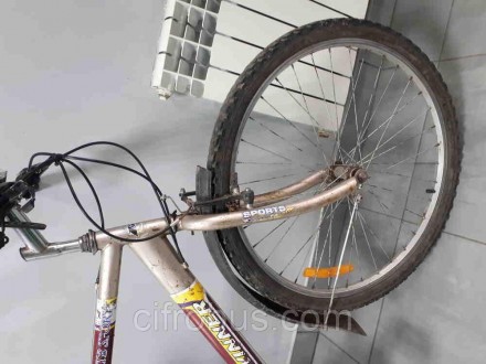 Winner Titan. Оборудованный прочной стальной рамой велосипед с усиленными узлами. . фото 9