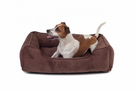Каркасный вельветовый лежак Dreamer Velvet для собак с бортами со съемным чехлом. . фото 2