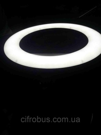 Кольцевая светодиодная лампа со штативом для фото и видео съемки RL 21 Model: M-. . фото 5