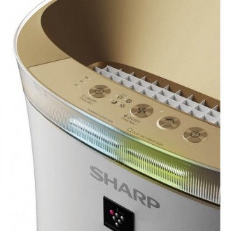 Sharp UA-PG50E-LВисокоефективний очищувач повітря Sharp UA-PG50E-W дозволить ств. . фото 4