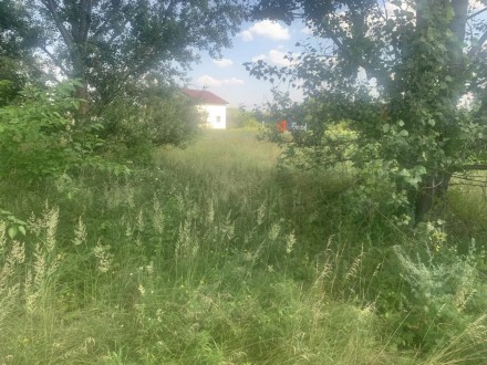 Продам участок 10 соток в с.Ходосовка,Чернеча гора. Киево-Святошинский. фото 1 Продам участок 10 соток в с.Ходосовка,Чернеча гора. Киево-Святошинский. фото 1