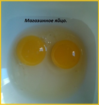 Свежие яйца перепелов, домашние.

Почему наши перепелиные яйца так отличаются . . фото 6