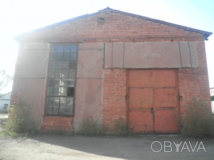 Продается здание в пгт Петриковка Днепропетровской области  под ангар, склад, ма. . фото 1