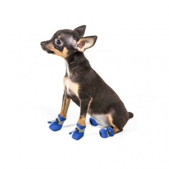 Чоботи для собак Alfa «Мішечки», осінньо-весняне взуття для собак дрібних порід.. . фото 5