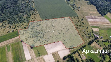 продажа земли. Аркадіївці. фото 1 продажа земли. Аркадіївці. фото 1