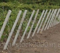 Виноградные столбы (виноградный кол) 2,5 - 3 м
Основными преимуществами бетонных. . фото 5