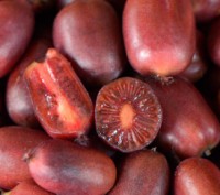 Новый польский сорт с красными, вкусными, сладкими плодами. Плоды овальные, длин. . фото 2