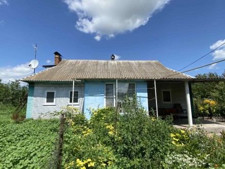 Продам будинок в мальовничому с.Радівка Калинівського р-ну 
Будинок 69 м2, 3 кім. . фото 5