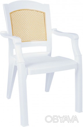 Кресло пластиковое турецкого производителя Siesta изготовлен из качественного сы. . фото 1