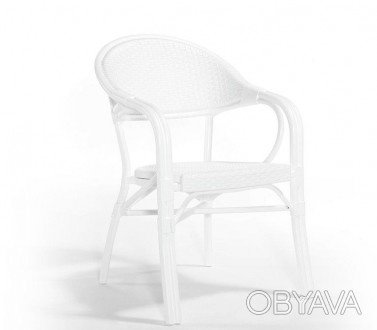 NIRVANA, крісло з високоякісного пластику (стійкий до температурних змін та ульт. . фото 1